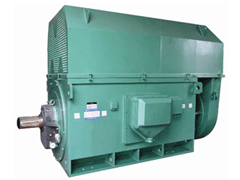 YRKK5006-10Y系列6KV高压电机